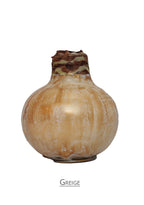 Amaryllis Wax greige mayorista