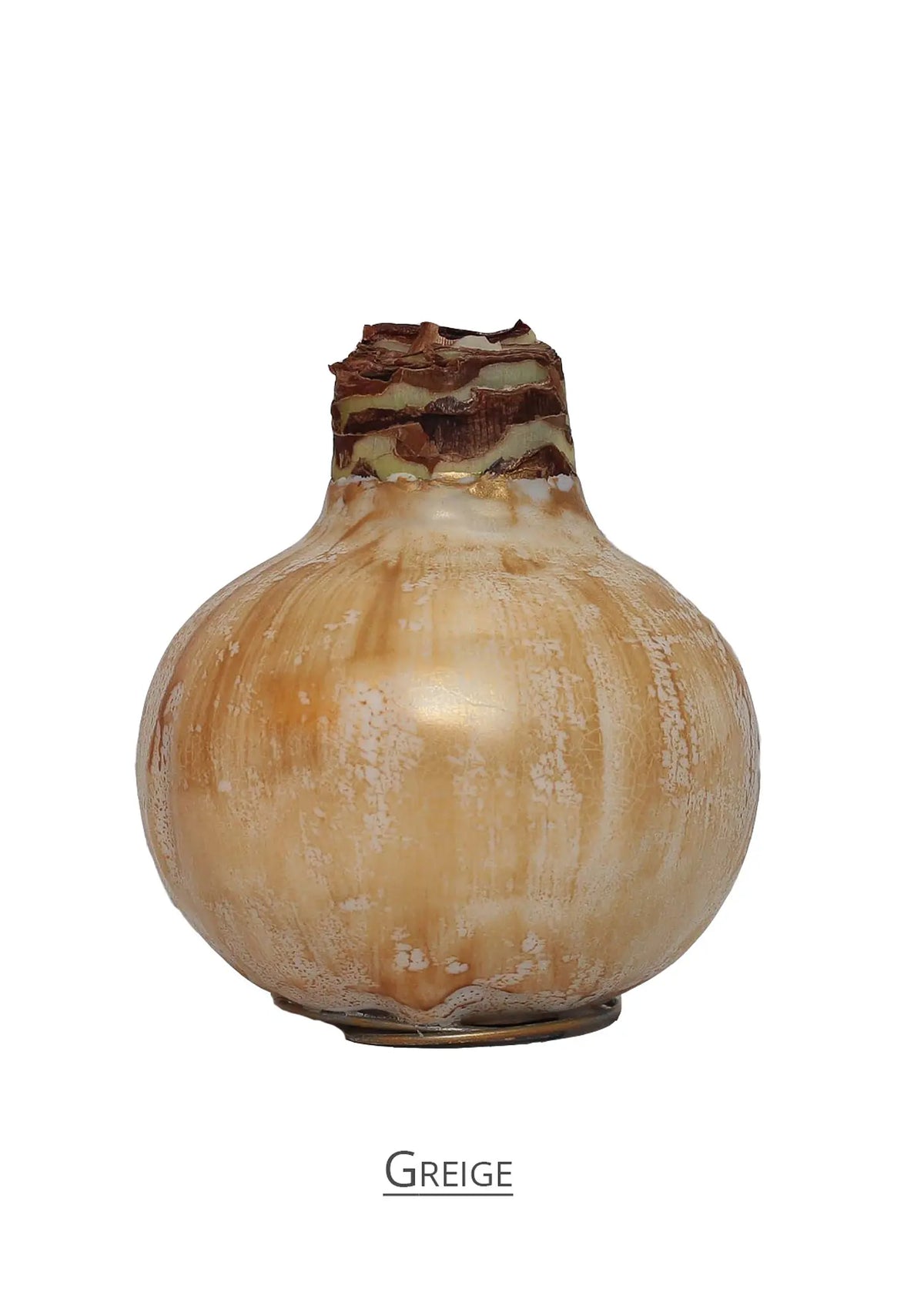 Amaryllis Wax greige mayorista